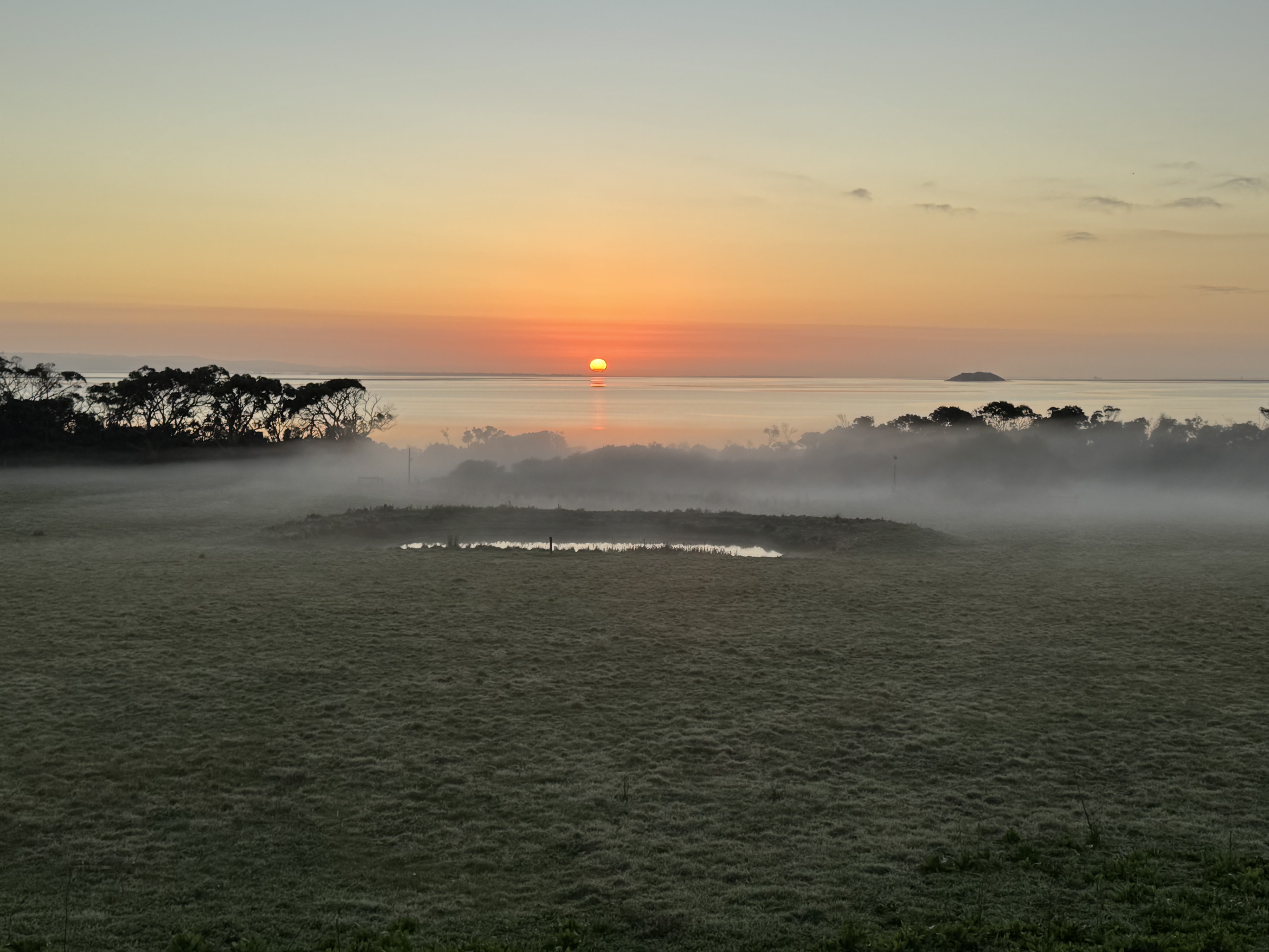 Sunrise over Corner Inlet, seen from a foggy paddock