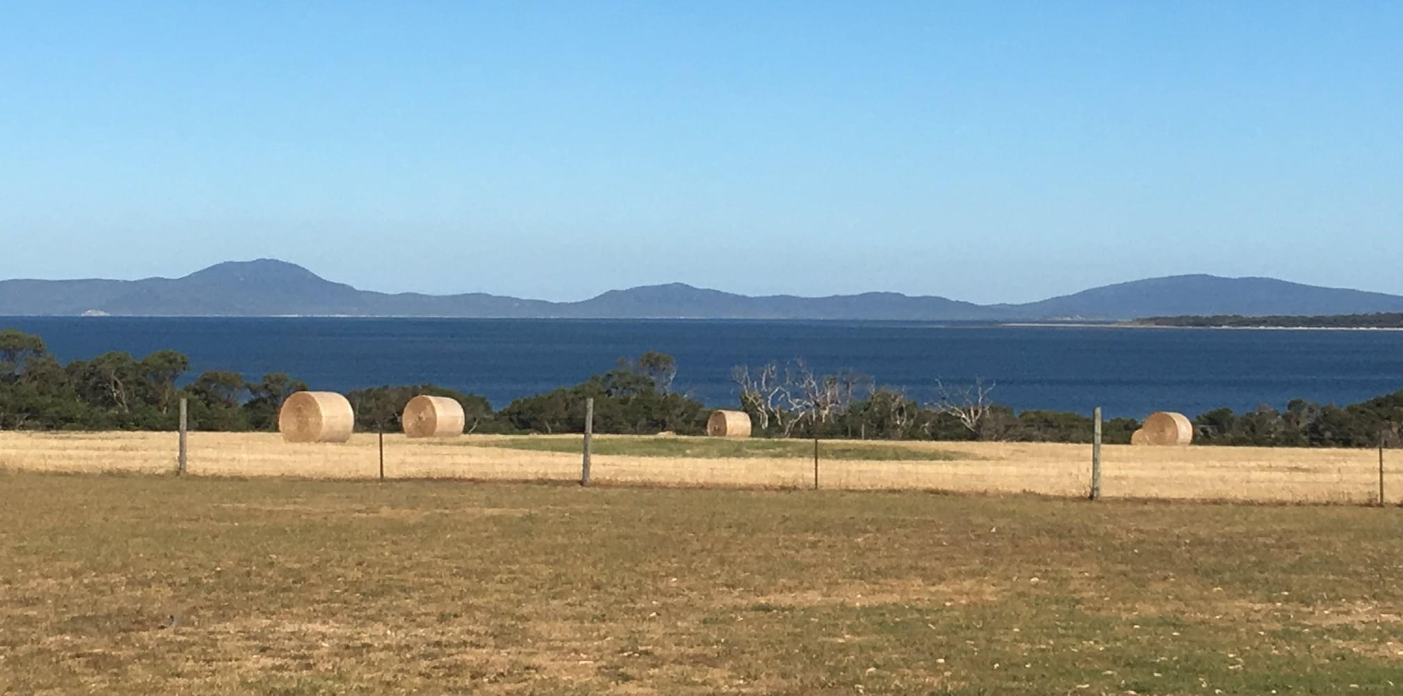 Hay bales in a Yanakie paddock