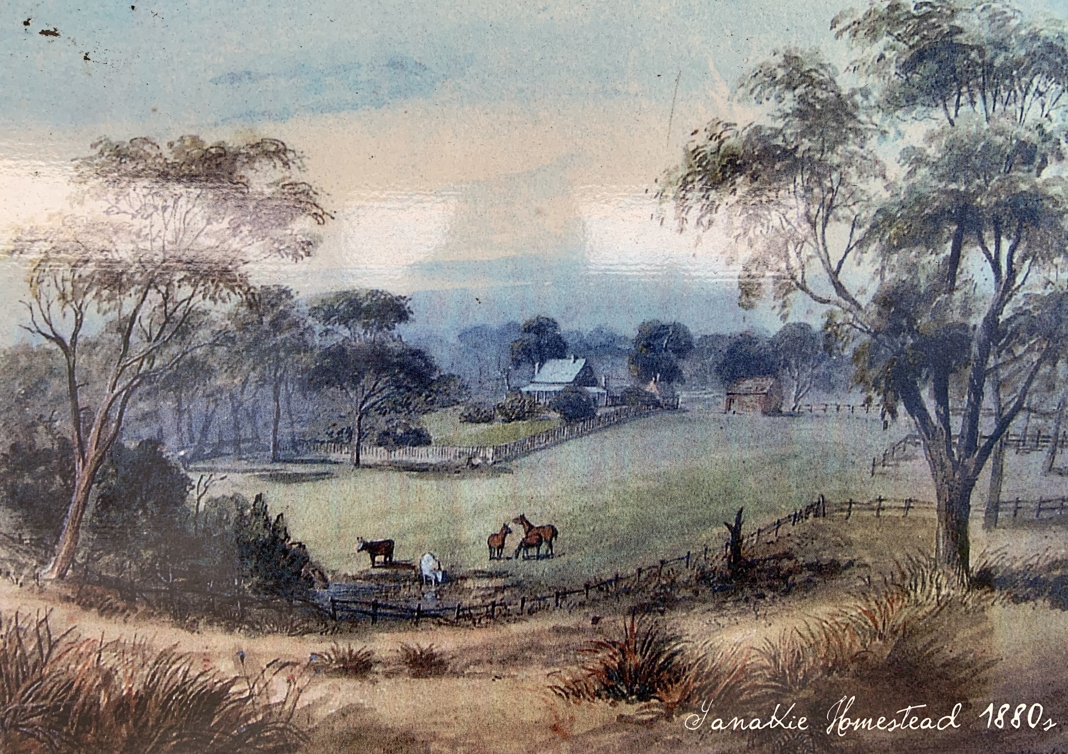 Watercolour of Yanakie Homestead in the 1880s