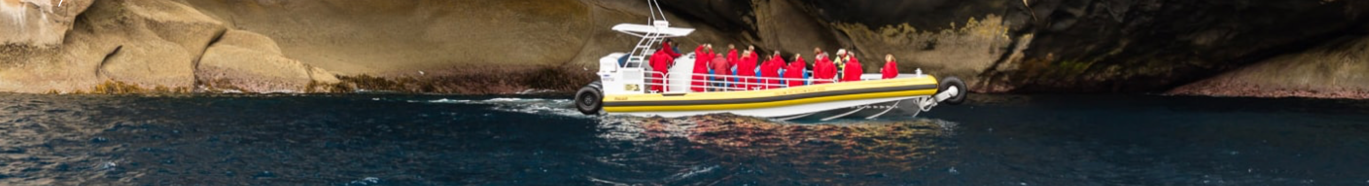 Cruise boat beneath the granite cliffs at Wilsons Promontory
