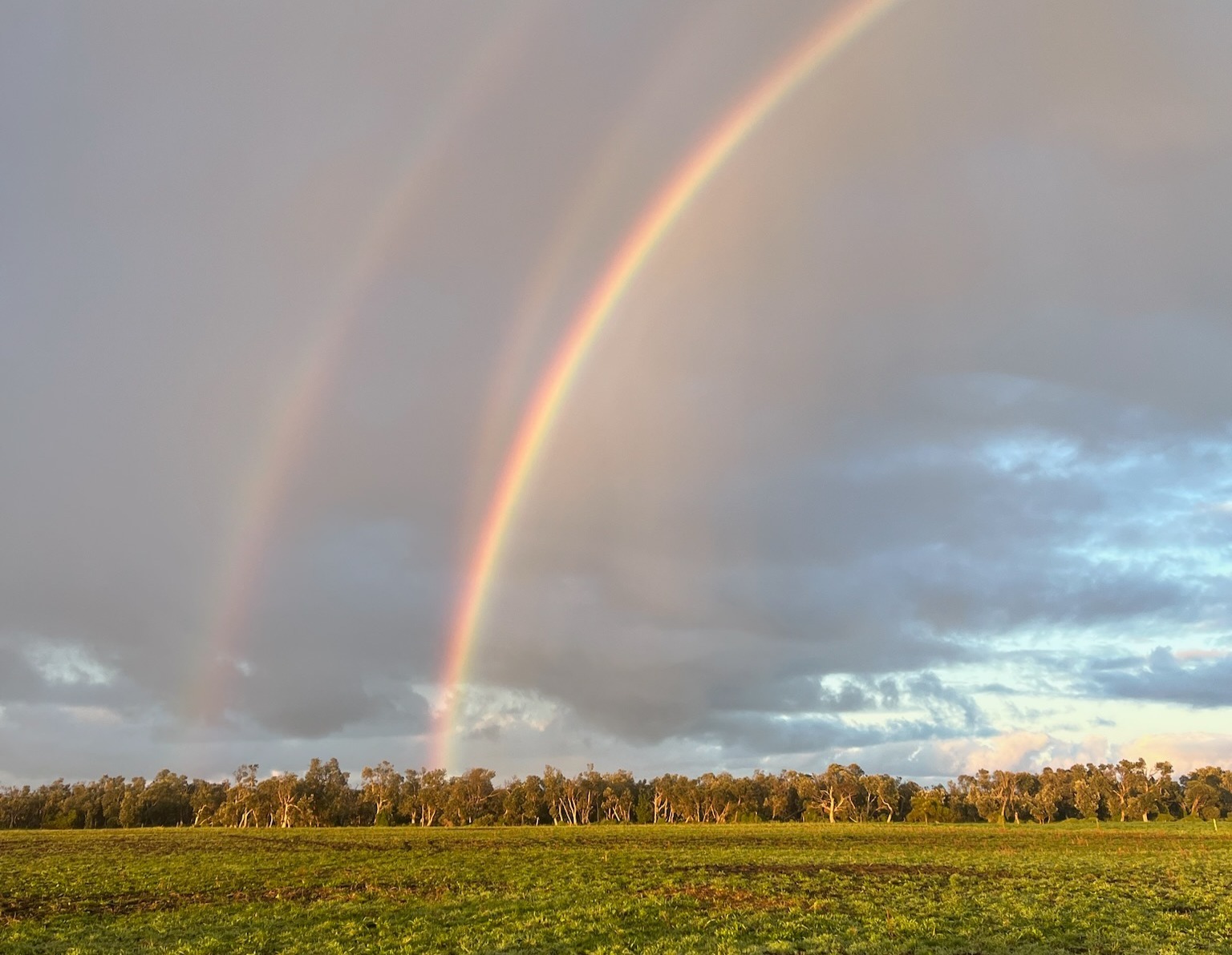 Double rainbow over Yanakie pasture
